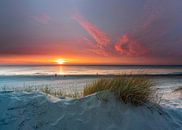 Paal 15 Texel strand duinen en helmgras prachtige zonsondergang van Texel360Fotografie Richard Heerschap thumbnail
