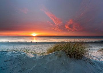 Paal 15 Texel Stranddünen und Strandhafer schöner Sonnenuntergang