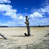 Bois mort sur une dune de sable sur Gerard de Zwaan