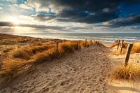 North sea coast