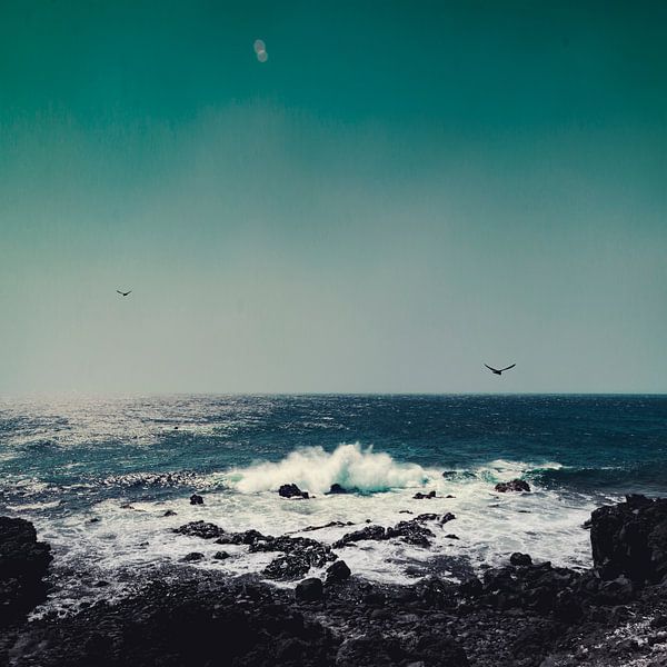 Smaragd Ocean - Vague et pierre de lave par Dirk Wüstenhagen
