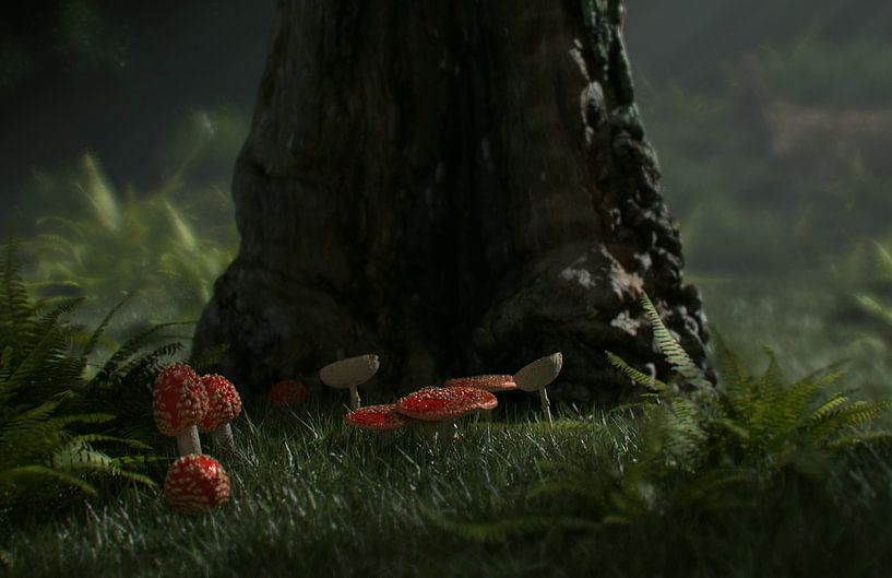 Forêt mystique par Fabian Gah