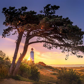 Voss Fine Art Fotografie Profilfoto