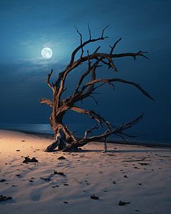 Baum bei Vollmond