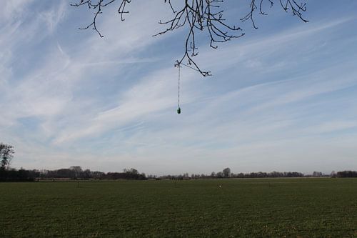 Pré avec gland tricoté