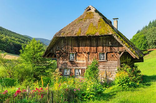 Black Forest Mill with Farm Garden in the Black Forest