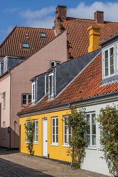 Kleurrijk straatbeeld in Odense van Sander Groenendijk