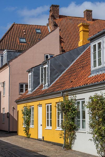 Colourful street scene in Odense by Sander Groenendijk