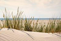 Langeoog
