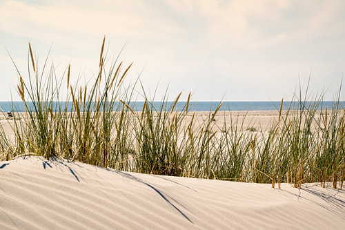 Langeoog