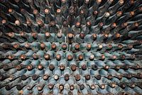 old wine bottles in a wine cellar