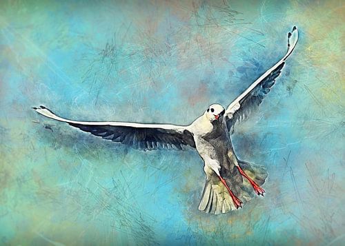 zeemeeuw vogel aquarel kunst #seagull