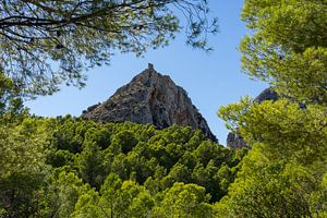 Castellet de Calp und grüner Pinienwald