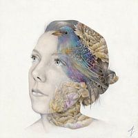 Human Nature IV