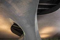 Lines & Curves by Elroy Spelbos Fotografie thumbnail