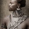 Guerrier zoulou d'Afrique du Sud, vers 1900 sur Affect Fotografie