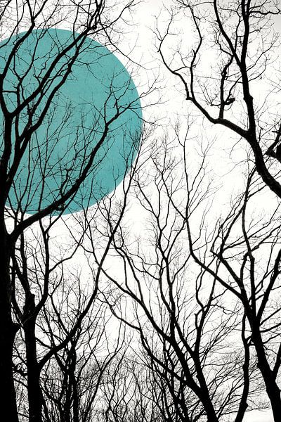A travers les branches des arbres par Mariska Vereijken