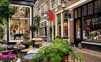 The city of Alkmaar
