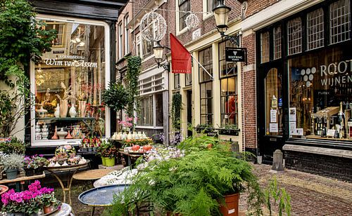 Het Fnidsen in de oude stad Alkmaar