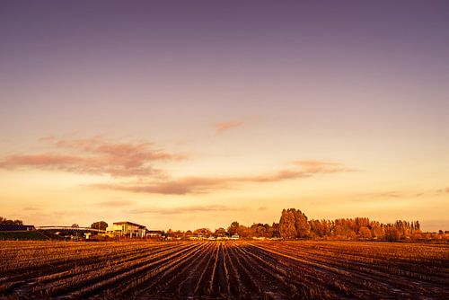 Marnemoende bij zonsondergang, IJsselstein