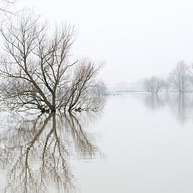 Hoog water in Brabant von Noortje Muller