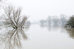 Hoog water in Brabant von Noortje Muller