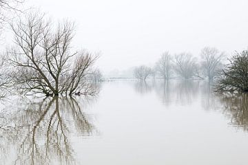 Hoog water in Brabant by Noortje Muller