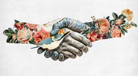 All Kinds of Nature sur Marja van den Hurk