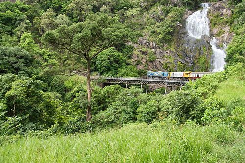 Trein die de Stoney Creek Falls-brug oversteekt