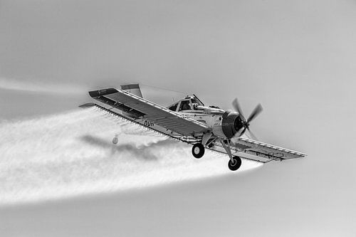 PZL-106 Kruk en noir et blanc