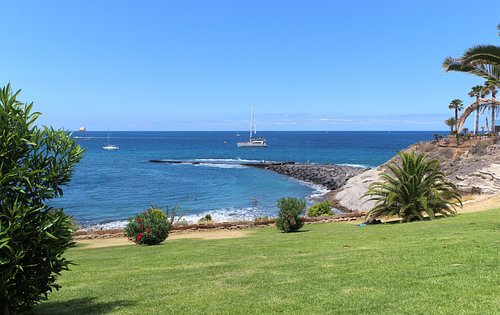Meerblick in Azurblau und Grasgrün - Teneriffa