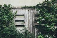 Old door in the forest by Karlijne Geudens thumbnail