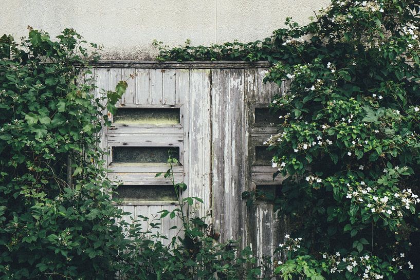 Old door in the forest by Karlijne Geudens