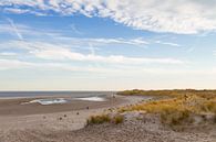 Beach and dunes of Texel von Nicole van As Miniaturansicht