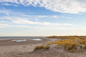 Beach and dunes of Texel sur Nicole van As