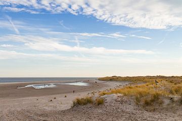 Beach and dunes of Texel