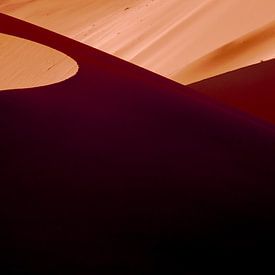 Sanddünen in Namibia von Theo van Woerden
