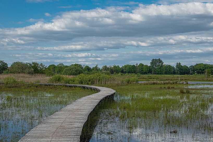 Empese and Tondense Heide. by Michel Hol