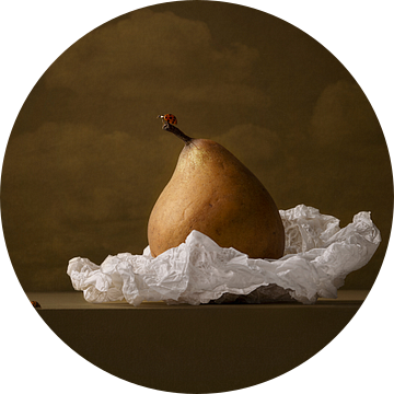 Ladybug part one van Carolien van Schie