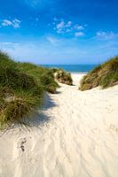 Idyllic path to the beach