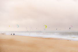 Dancing inthe Wind by Pamela Uyttendaele