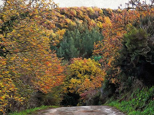 Kleur de berg op December Umbrië