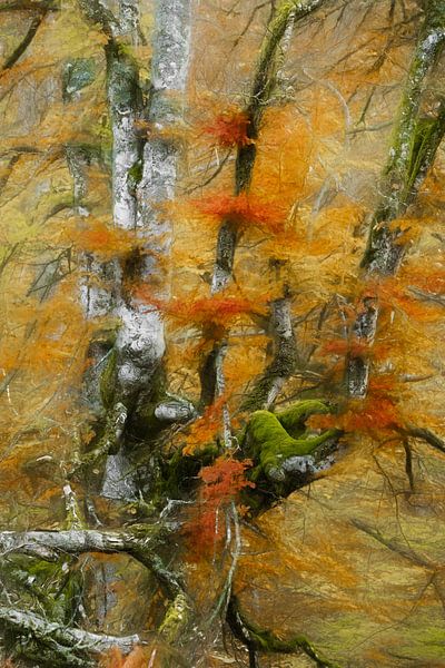 Herfst Palet van Lars van de Goor