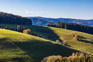 Herbstliche Landschaft bei St. Peter im Schwarzwald von Werner Dieterich