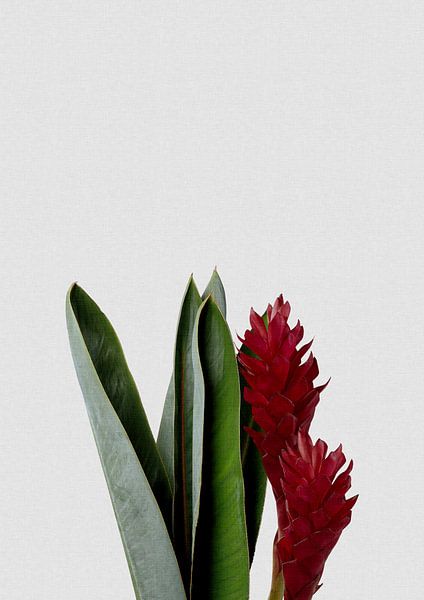 Rote Blume von Orara Studio
