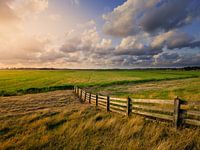A typical Dutch polder landscape in Friesland.