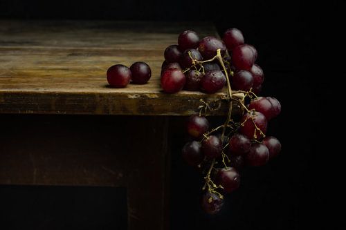 Stilleven blauwe druiven