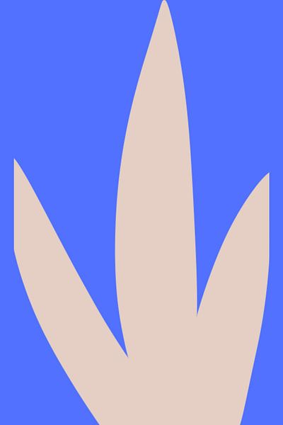 Cactus Plant Without Stings by ComfortQ