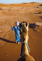 The King of the Desert