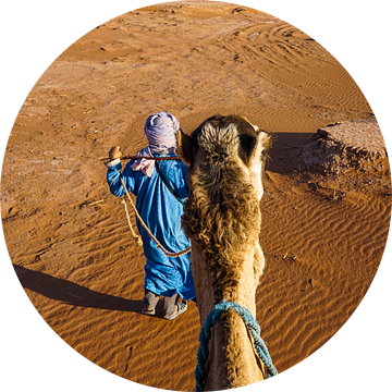 De Koning van de Woestijn